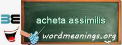 WordMeaning blackboard for acheta assimilis